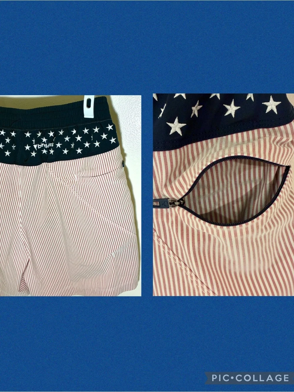 Birddogs Sargeant Tuddy Gym Shorts with Liner